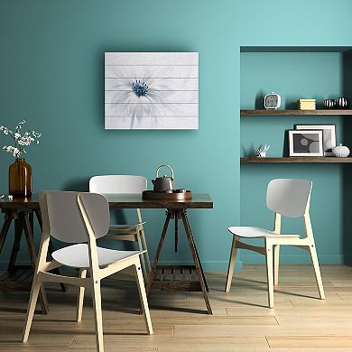 Trademark Fine Art 'Serenity' Wood Slat Art