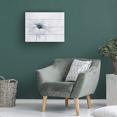 Trademark Fine Art 'Serenity' Wood Slat Art