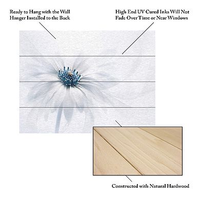 Trademark Fine Art 'Serenity' Wood Slat Art