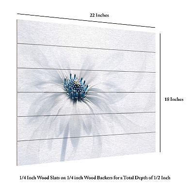 Trademark Fine Art 'Serenity' Wood Slat Art