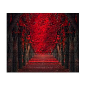 Trademark Fine Art 'Endless Passion' Wood Slat Art