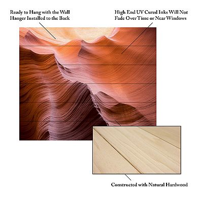 Trademark Fine Art 'Smooth II' Wood Slat Art