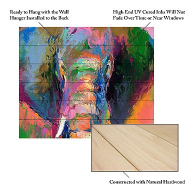 Trademark Fine Art 'Elephant 2' Wood Slat Art