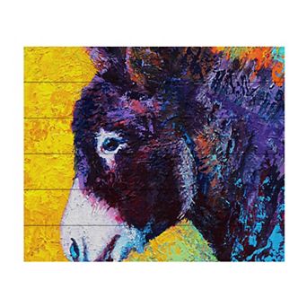 Trademark Fine Art Marion Rose 'Donkey Sparky' Wood Slat Art