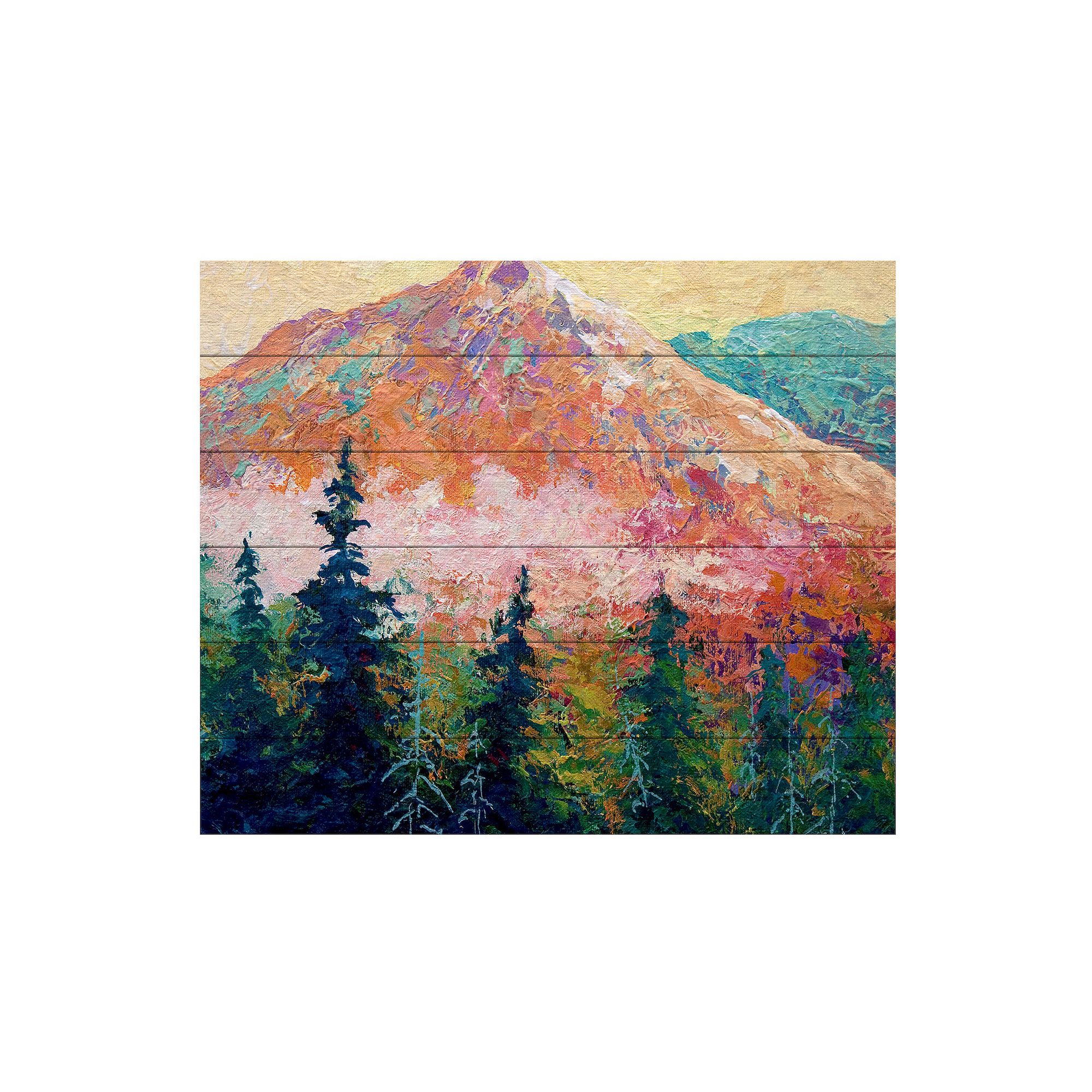 Trademark Fine Art Marion Rose Mtn Sentinel Wood Slat Art, Multi