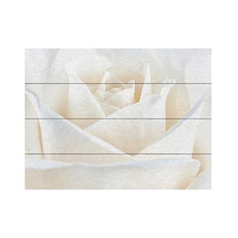 Trademark Fine Art 'Pure White Rose' Wood Slat Art