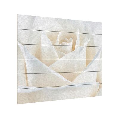 Trademark Fine Art 'Pure White Rose' Wood Slat Art