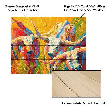Trademark Fine Art Marion Rose 'Dance of the Longhorns' Wood Slat Art