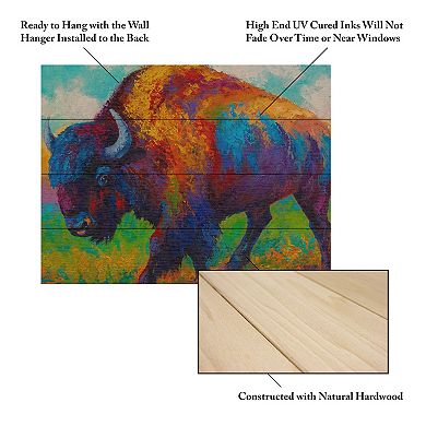 Trademark Fine Art 'Prairie Muse' Wood Slat Art