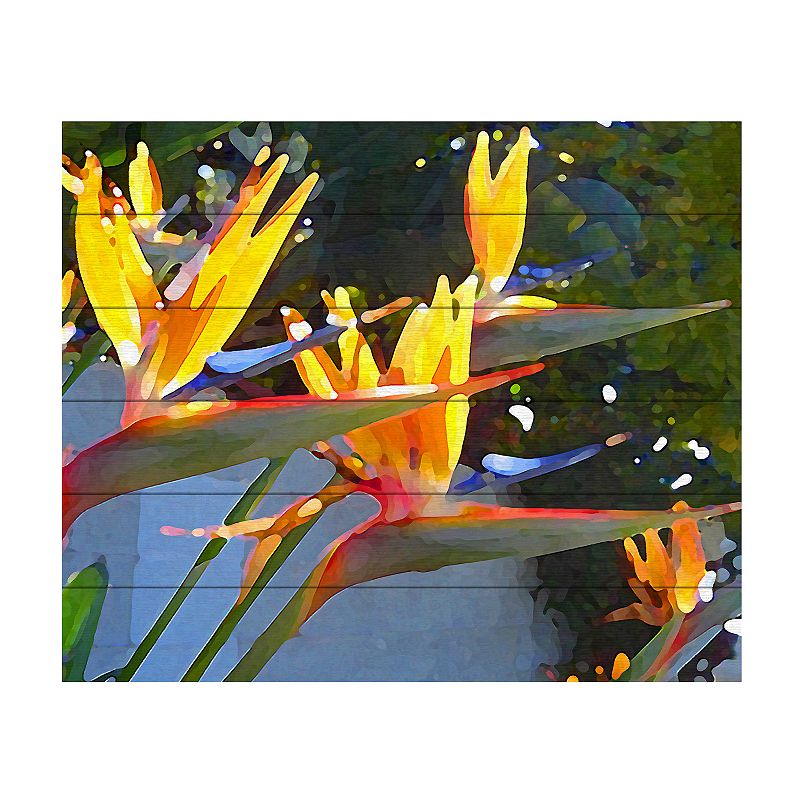 79113661 Trademark Fine Art Bird of Paradise Backlit by Sun sku 79113661