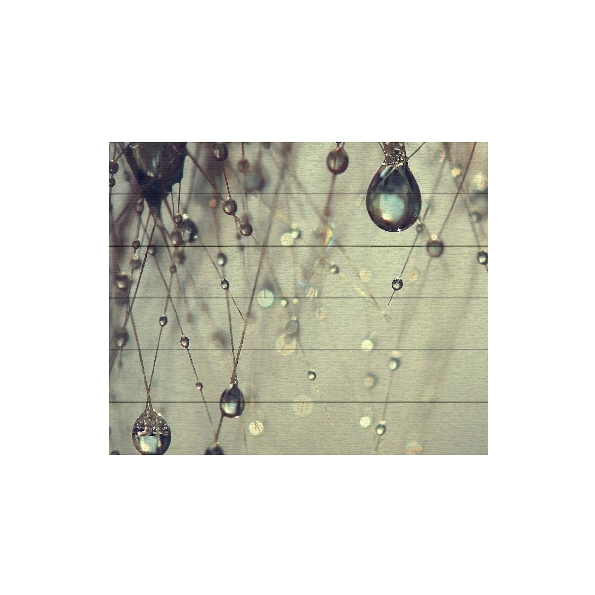 Trademark Fine Art Forgotten Wishes Wood Slat Art, Multi