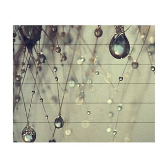 Trademark Fine Art 'Forgotten Wishes' Wood Slat Art