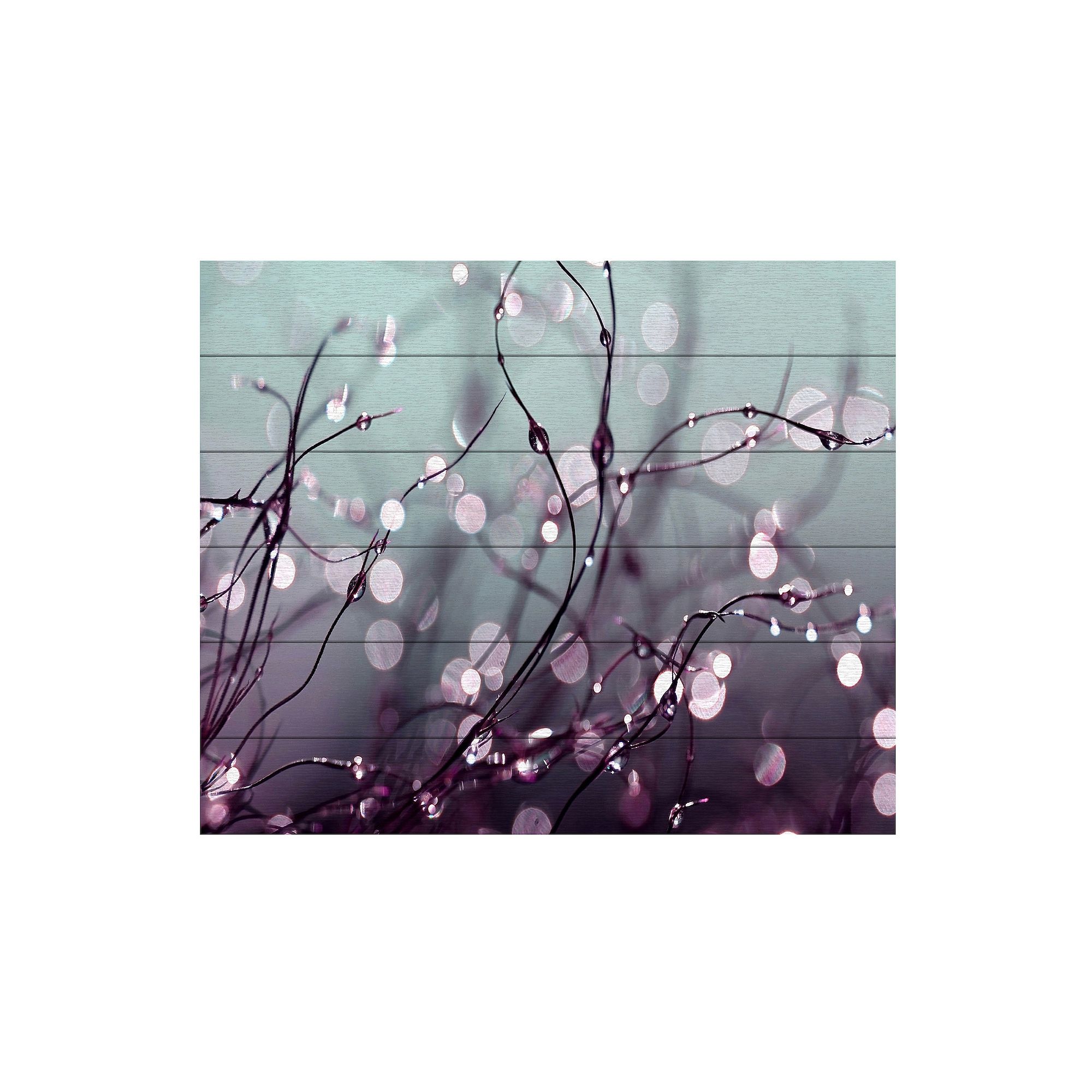 Trademark Fine Art Beata Czyzowska Young Over The Rainbow Wood Slat Art, 