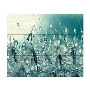 Trademark Fine Art Beata Czyzowska Young 'Under the Sea' Wood Slat Art