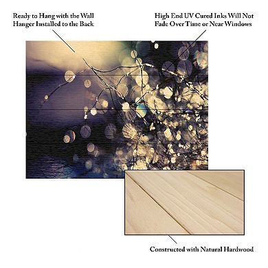 Trademark Fine Art 'Fairies in My Garden' Wood Slat Art