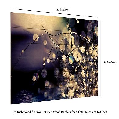 Trademark Fine Art 'Fairies in My Garden' Wood Slat Art