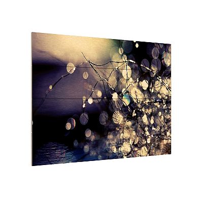 Trademark Fine Art 'Fairies in My Garden' Wood Slat Art