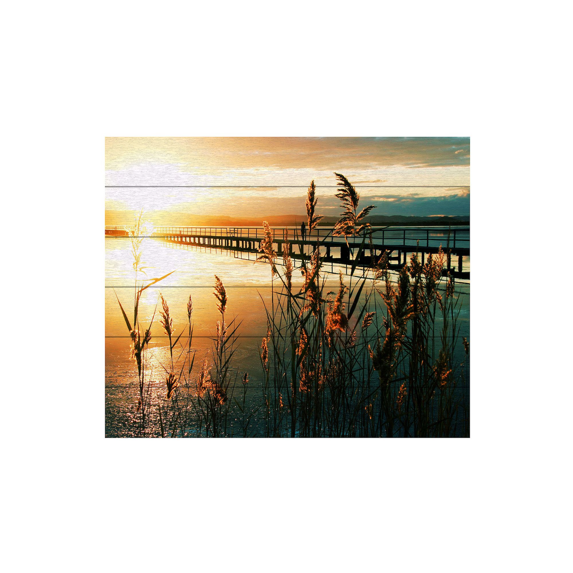 Trademark Fine Art Beata Czyzowska Young Wish You Were Here Wood Slat Art, 