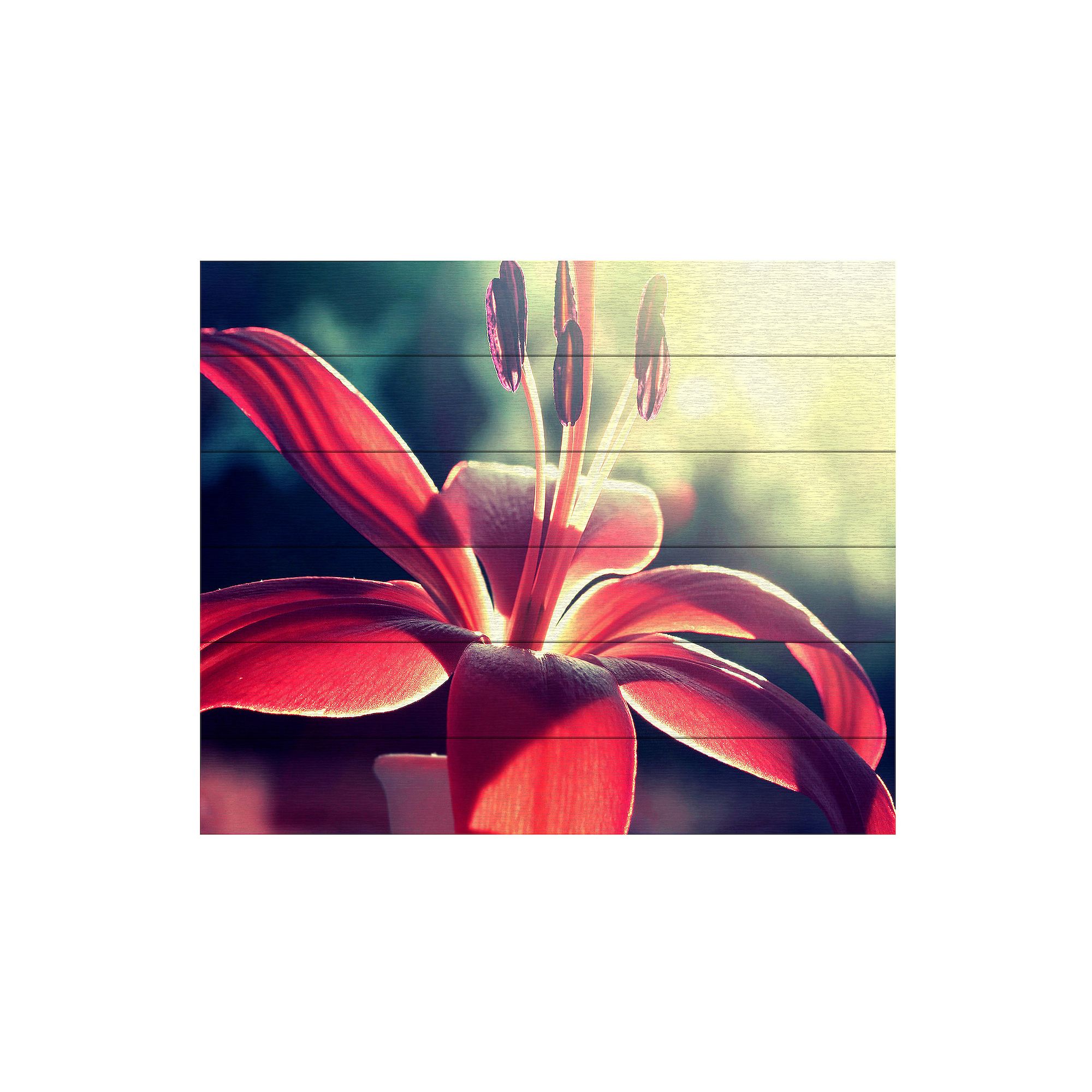 Trademark Fine Art Lady in Red Wood Slat Art, Multi