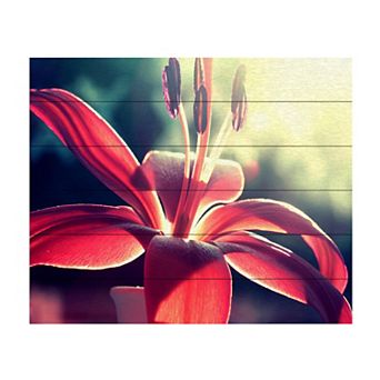 Trademark Fine Art 'Lady in Red' Wood Slat Art