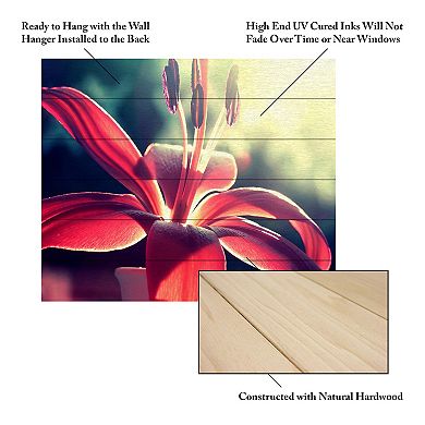Trademark Fine Art 'Lady in Red' Wood Slat Art