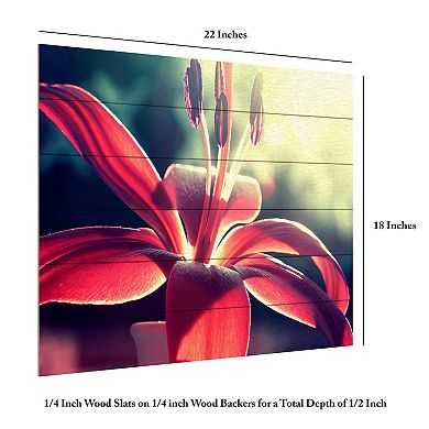 Trademark Fine Art 'Lady in Red' Wood Slat Art