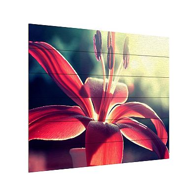 Trademark Fine Art 'Lady in Red' Wood Slat Art