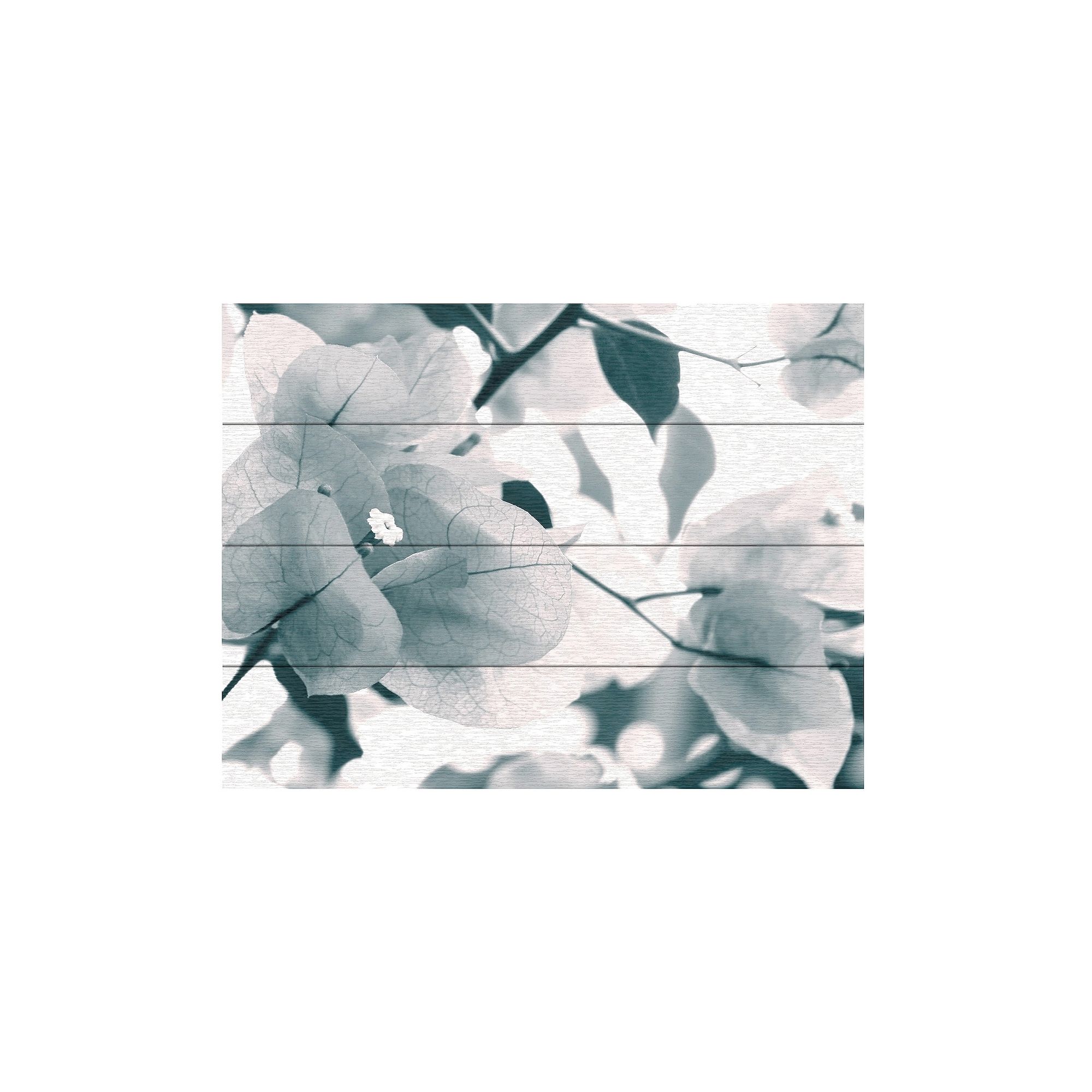 Trademark Fine Art Beata Czyzowska Young About a Flower Wood Slat Art, Mu