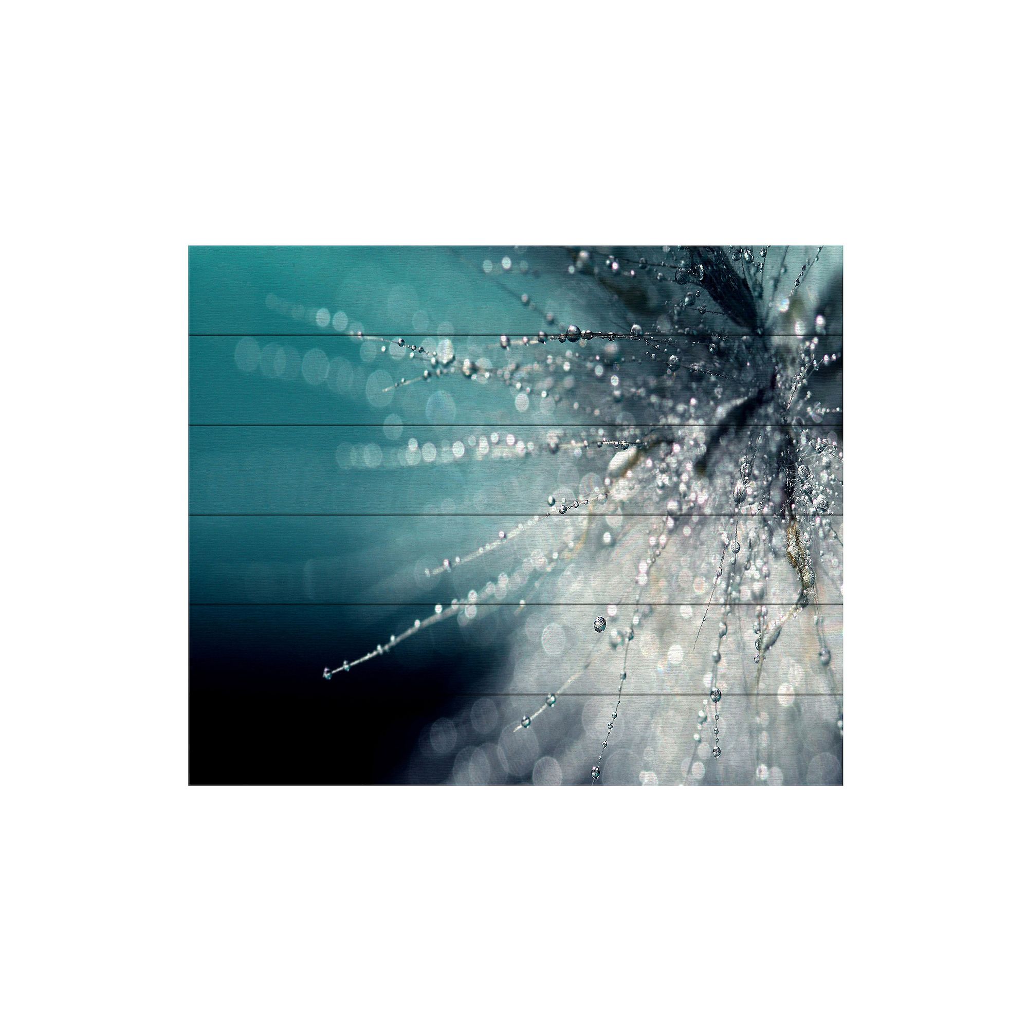 Trademark Fine Art Beata Czyzowska Young Morning Sonata Wood Slat Art, Mu