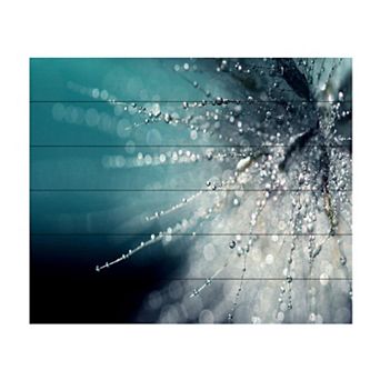 Trademark Fine Art Beata Czyzowska Young 'Morning Sonata' Wood Slat Art