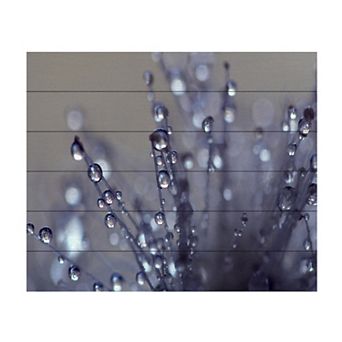 Trademark Fine Art Beata Czyzowska Young 'Evening Jewels' Wood Slat Art