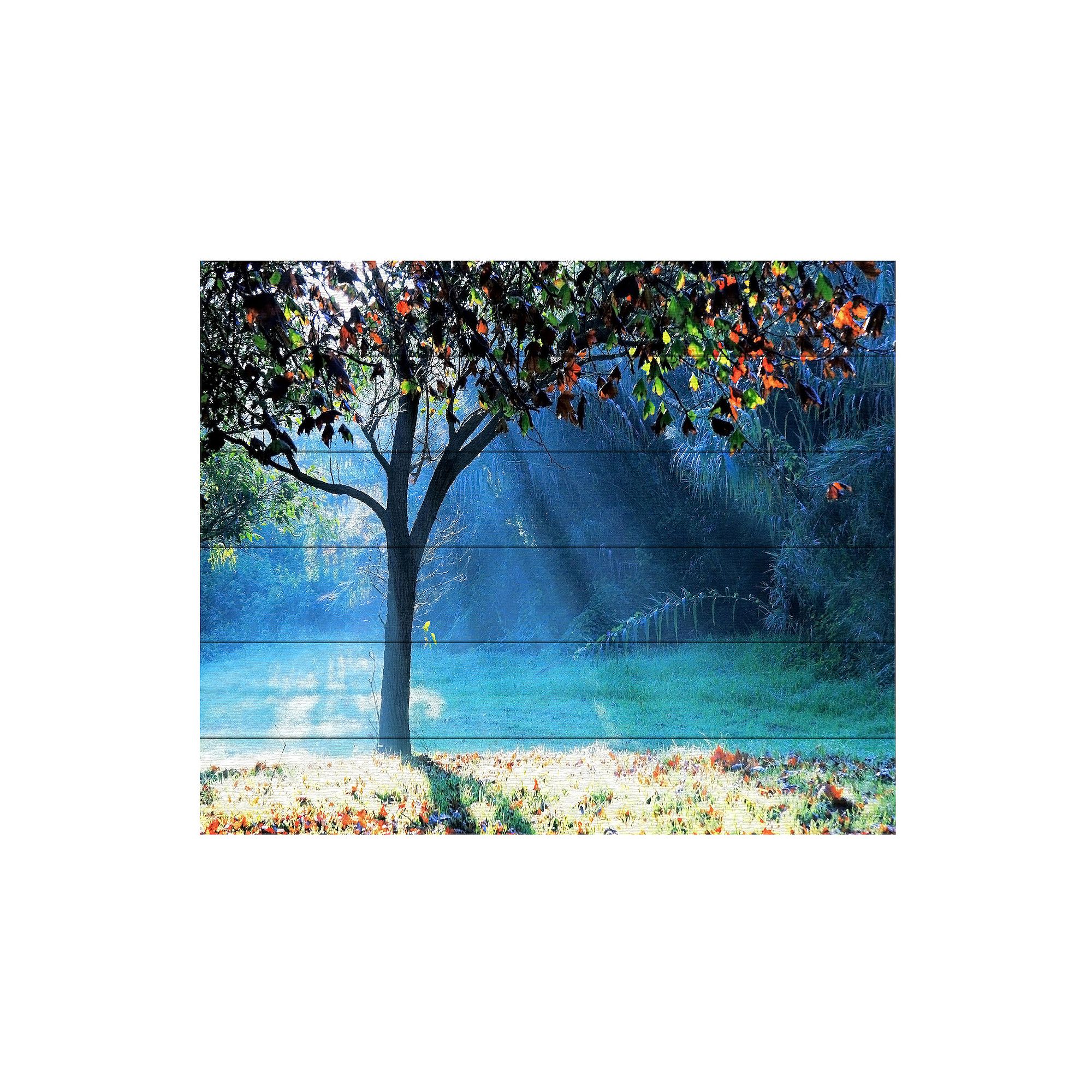 Trademark Fine Art Beata Czyzowska Young Rays of Hope Wood Slat Art, Mult