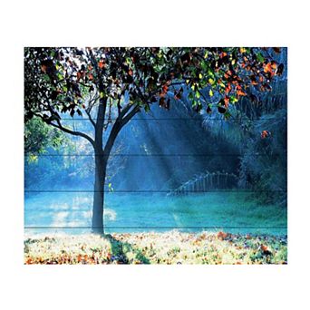 Trademark Fine Art Beata Czyzowska Young 'Rays of Hope' Wood Slat Art