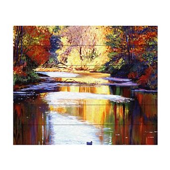 Trademark Fine Art David Lloyd Glover 'Reflections of August' Wood Slat Art