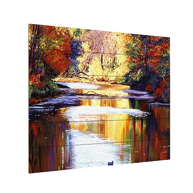 Trademark Fine Art David Lloyd Glover 'Reflections of August' Wood Slat Art