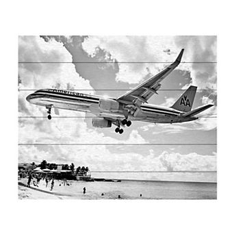 Trademark Fine Art Preston 'American Airliner' Wood Slat Art
