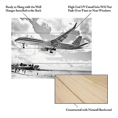 Trademark Fine Art Preston 'American Airliner' Wood Slat Art