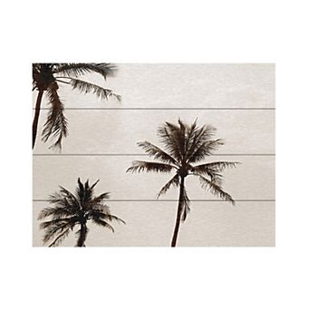 Trademark Fine Art Preston 'Black & White Palms' Wood Slat Art