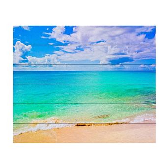Trademark Fine Art Preston 'Maho Beach' Wood Slat Art