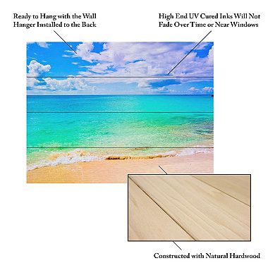Trademark Fine Art Preston 'Maho Beach' Wood Slat Art