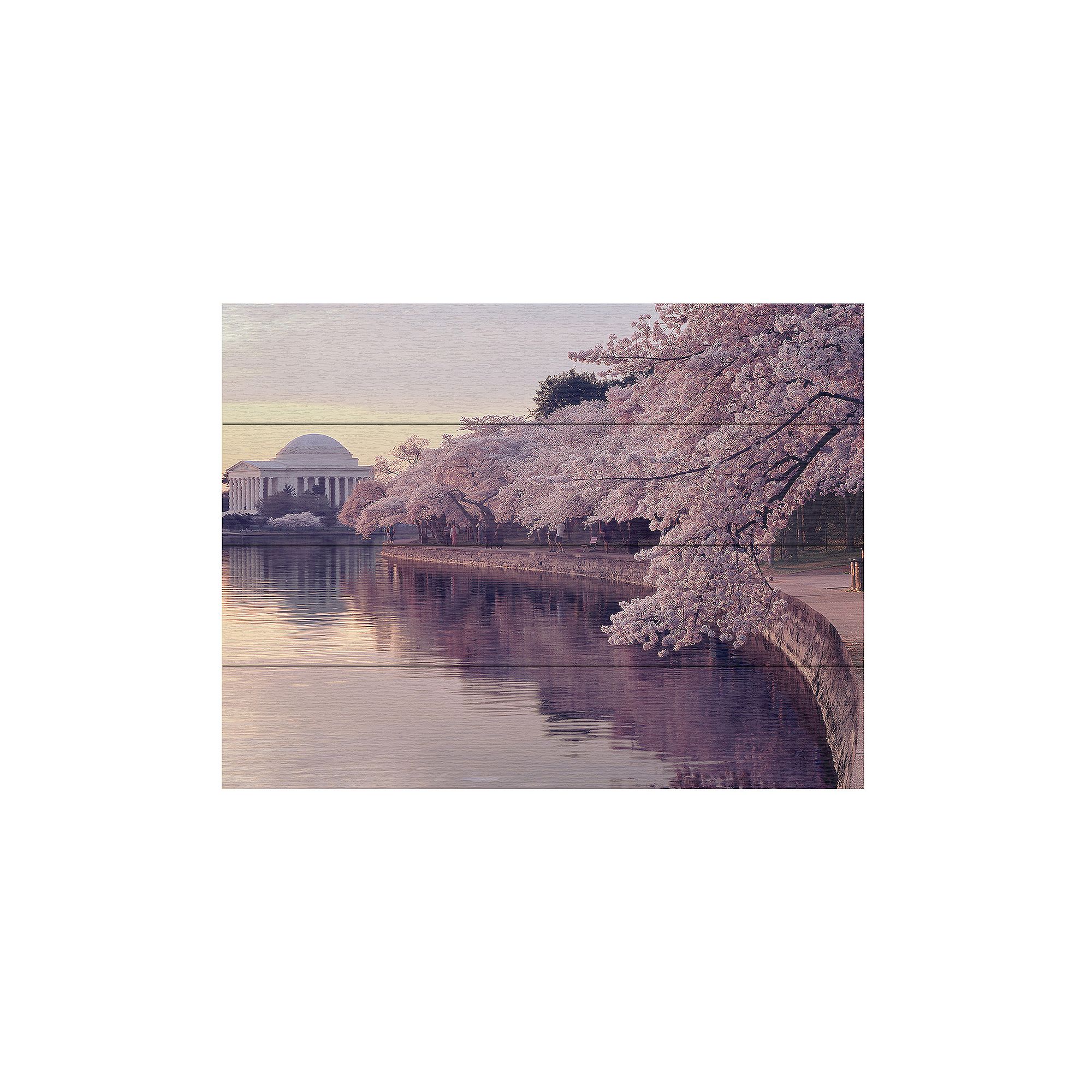 Trademark Fine Art Gregory OHanlon Cherry Blossoms Jefferson Memorial Woo