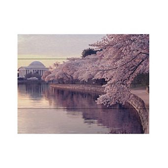 Trademark Fine Art Gregory OHanlon 'Cherry Blossoms Jefferson Memorial' Wood Slat Art
