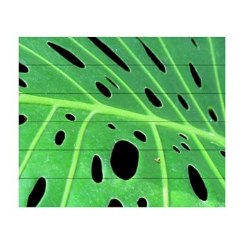 Trademark Fine Art 'Tropical Leaf' Wood Slat Art