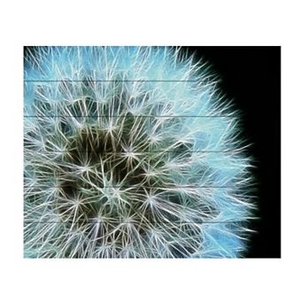 Trademark Fine Art 'Dandelion Seed Head Full' Wood Slat Art