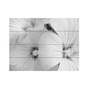Trademark Fine Art 'Sheer Malva' Wood Slat Art