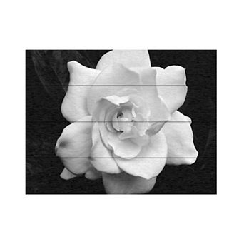 Trademark Fine Art Kurt Shaffer 'Gardenia in Black and White' Wood Slat Art