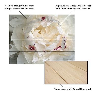Trademark Fine Art Kurt Shaffer 'Perfect Peony' Wood Slat Art