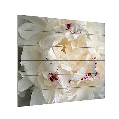 Trademark Fine Art Kurt Shaffer 'Perfect Peony' Wood Slat Art