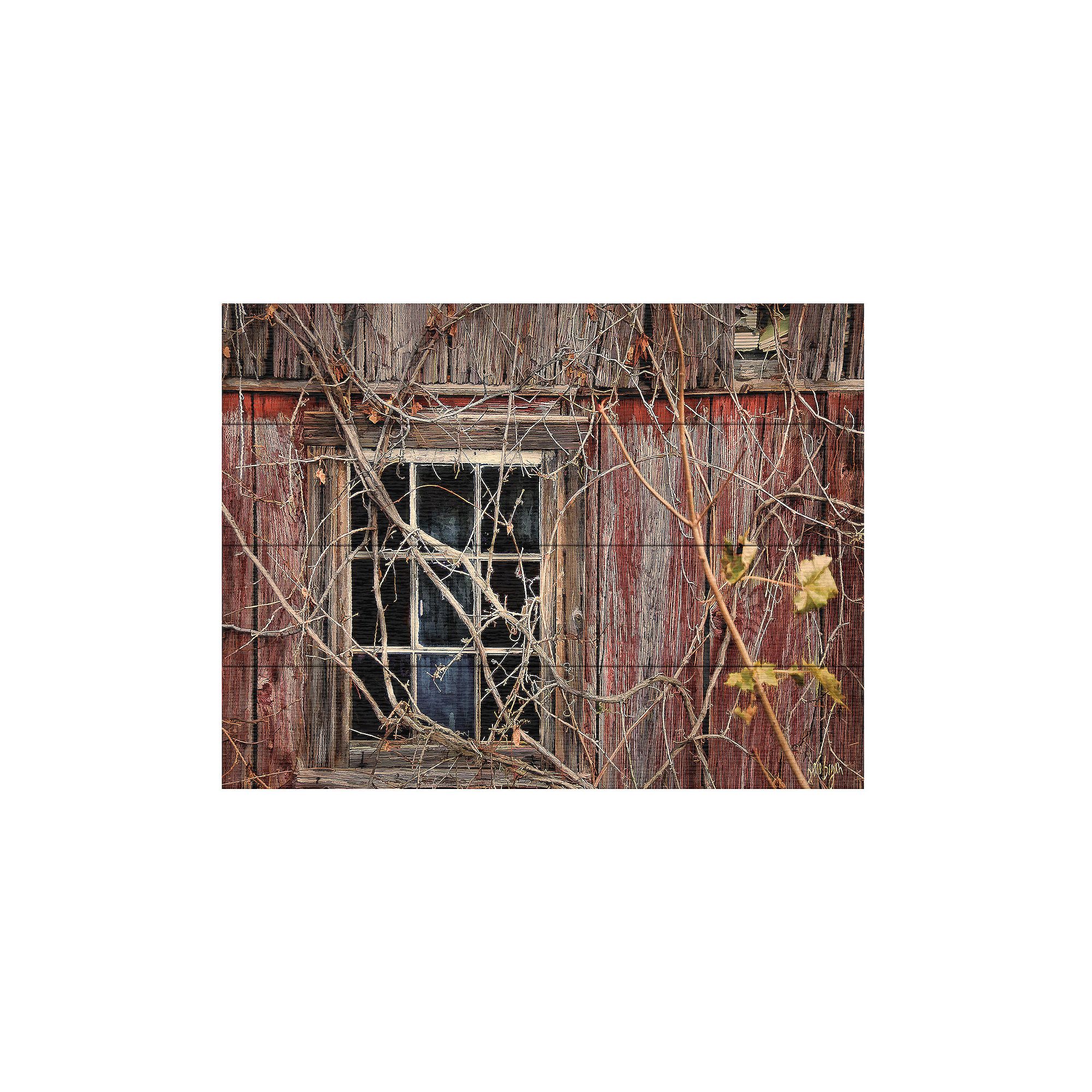 Trademark Fine Art Lois Bryan Old Barn Window Wood Slat Art, Multi