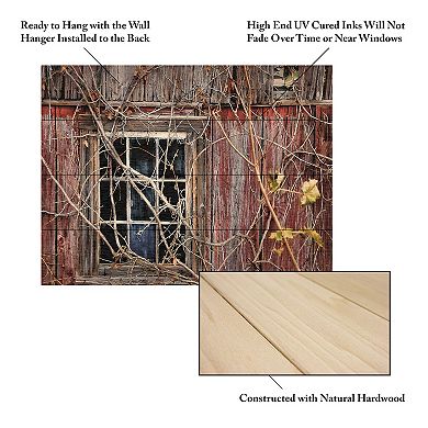 Trademark Fine Art Lois Bryan 'Old Barn Window' Wood Slat Art